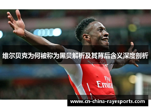 维尔贝克为何被称为黑贝解析及其背后含义深度剖析