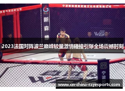 2023法国对阵波兰巅峰较量激情碰撞引爆全场震撼时刻
