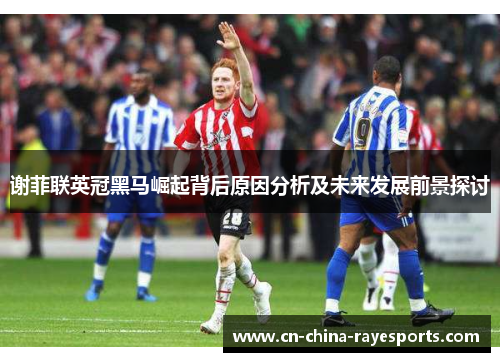 谢菲联英冠黑马崛起背后原因分析及未来发展前景探讨