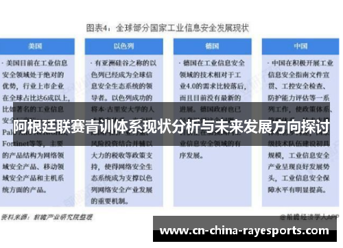 阿根廷联赛青训体系现状分析与未来发展方向探讨