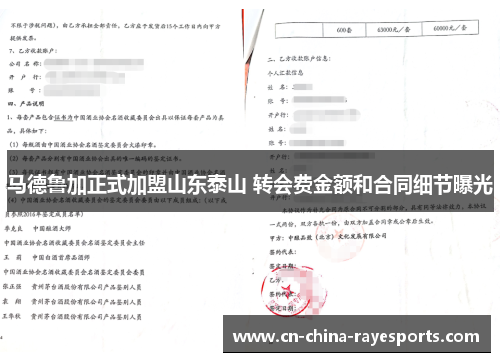 马德鲁加正式加盟山东泰山 转会费金额和合同细节曝光 马德鲁加正式加盟山东泰山 转会费金额和合同细节曝光
